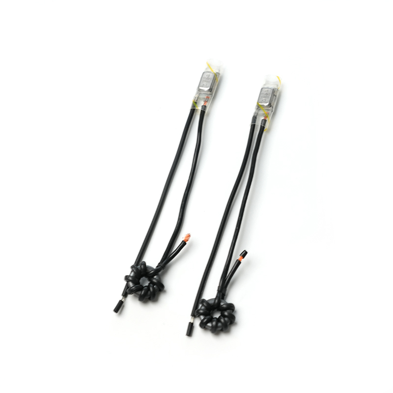 Protection thermique du moteur électrique à courant alternatif