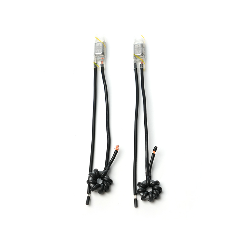 Protection thermique du moteur électrique à courant alternatif